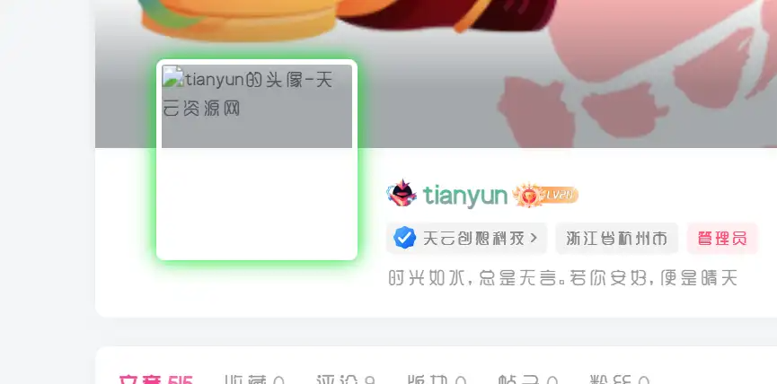 子比主题 + Redis Cache 插件：自定义头像不显示问题修复教程