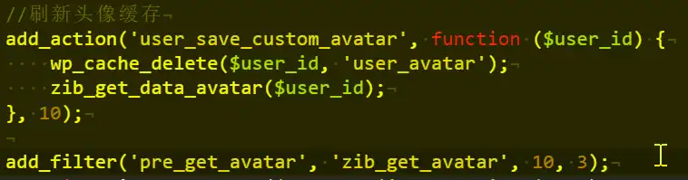 图片[3]-子比主题 + Redis Cache 插件：自定义头像不显示问题修复教程-天云源码