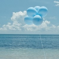 极夜行的头像-天云源码