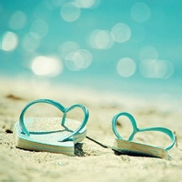 无言的智者的头像-天云源码