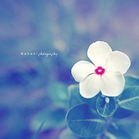 星辰裂痕的头像-天云源码