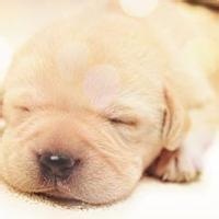 门派掌门的头像-天云源码