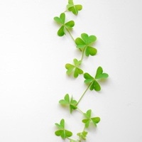 热闹狂魔的头像-天云源码