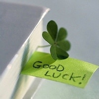 弓手谢的头像-天云源码