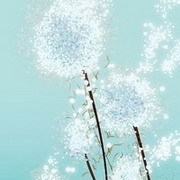 蘅芜梦的头像-天云源码