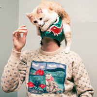 迷雾游魂的头像-天云源码