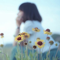 溜溜球玩家的头像-天云源码