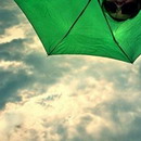 旺财的主人的头像-天云源码