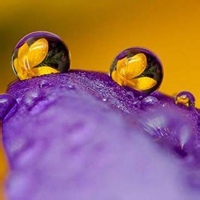 暖阳暖心的头像-天云源码