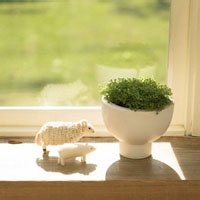 翎子摇的头像-天云源码