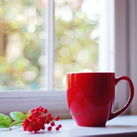 茶时间的头像-天云源码