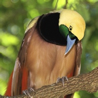 星轨拾影的头像-天云源码