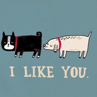 银河歌者的头像-天云源码