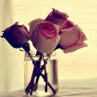 清欢一缕的头像-天云源码