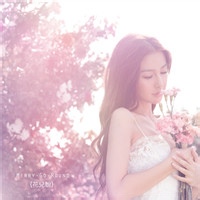 猴子机机的头像-天云源码