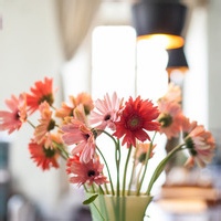 独坐敬亭山的头像-天云源码