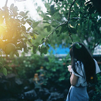 BerryPatch的头像-天云源码