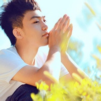 治愈系小熊的头像-天云源码