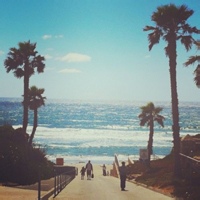 贪吃的火龙果的头像-天云源码