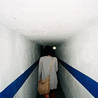 果宝的头像-天云源码