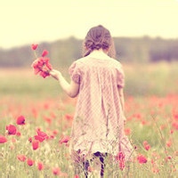 傲娇的草莓的头像-天云源码