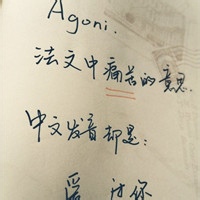 星星奶盖的头像-天云源码