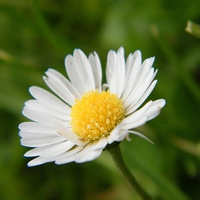 夜幕之刃的头像-天云源码