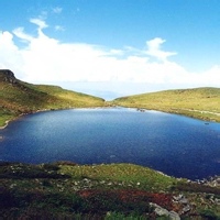 兔耳朵女孩的头像-天云源码