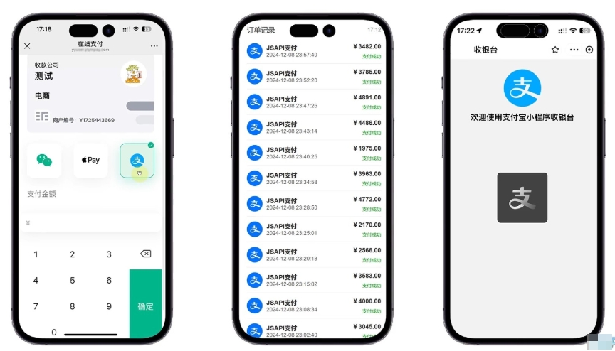 易支付 精美设计的支付收银台模板 门店收银管理系统 云支付收银台-天云源码